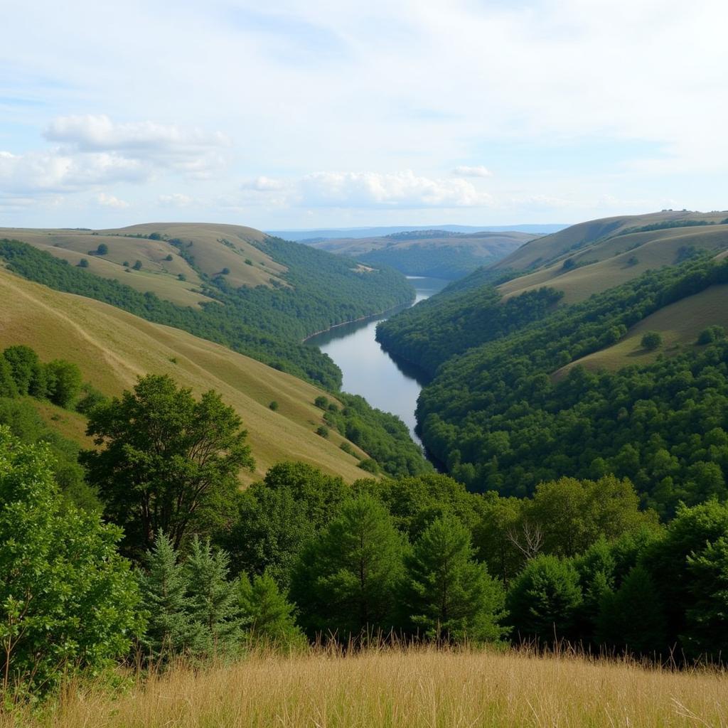 Scenic vista of Buckland Valley with lush greenery and a flowing river