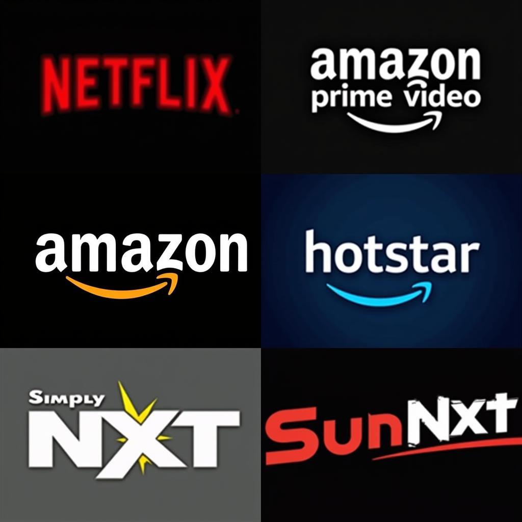 Popular Streaming Services Offering Tamil Movies