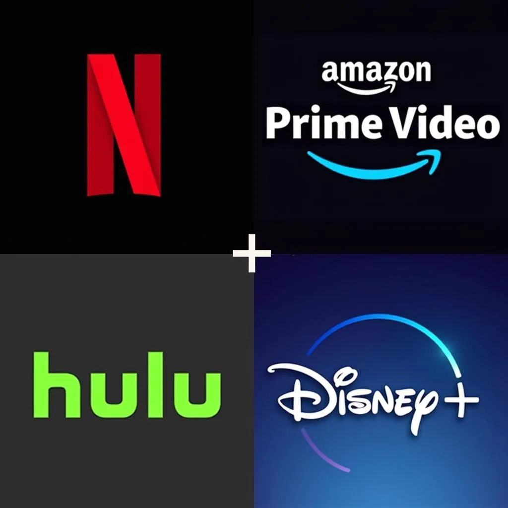 Popular Streaming Services