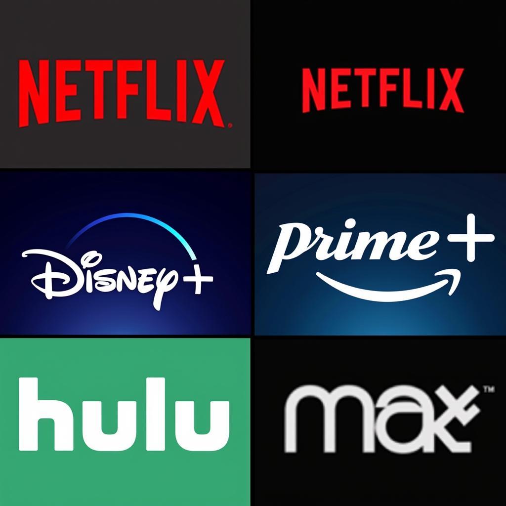 Popular Streaming Platforms