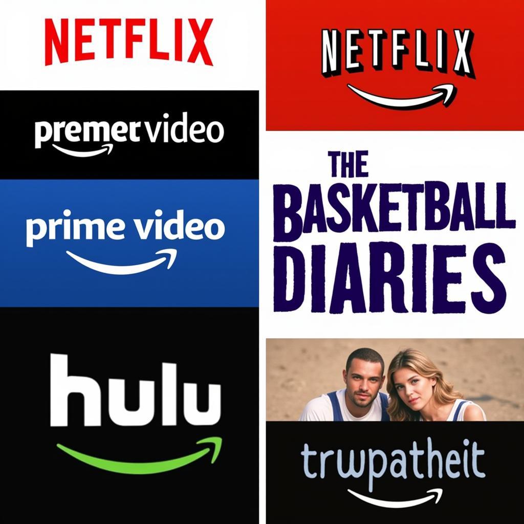 Streaming Platforms for The Basketball Diaries