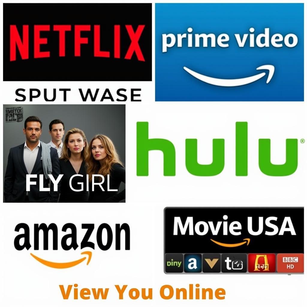 Fly Girl Movie Streaming Platforms