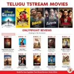 VPN Tamil Movie Download: Accessing Regional Content Securely