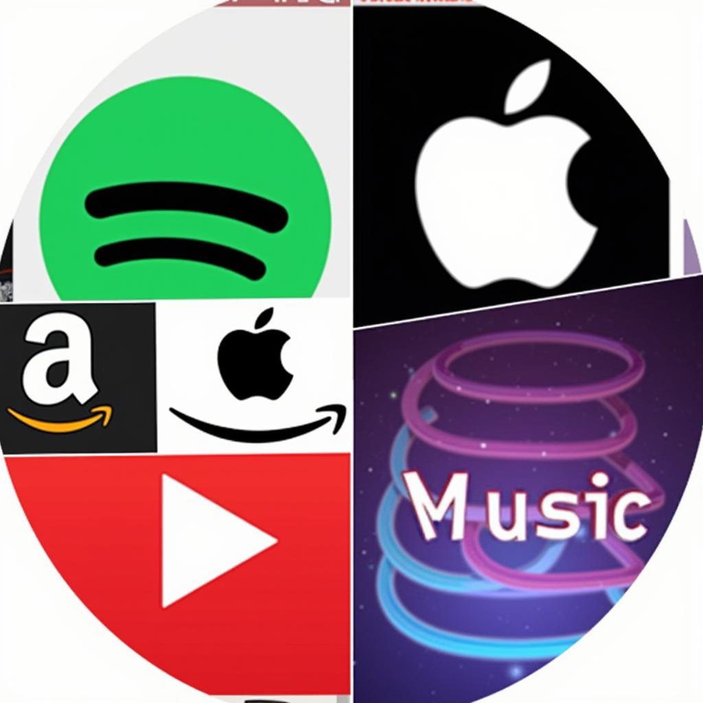 Music Streaming Platforms