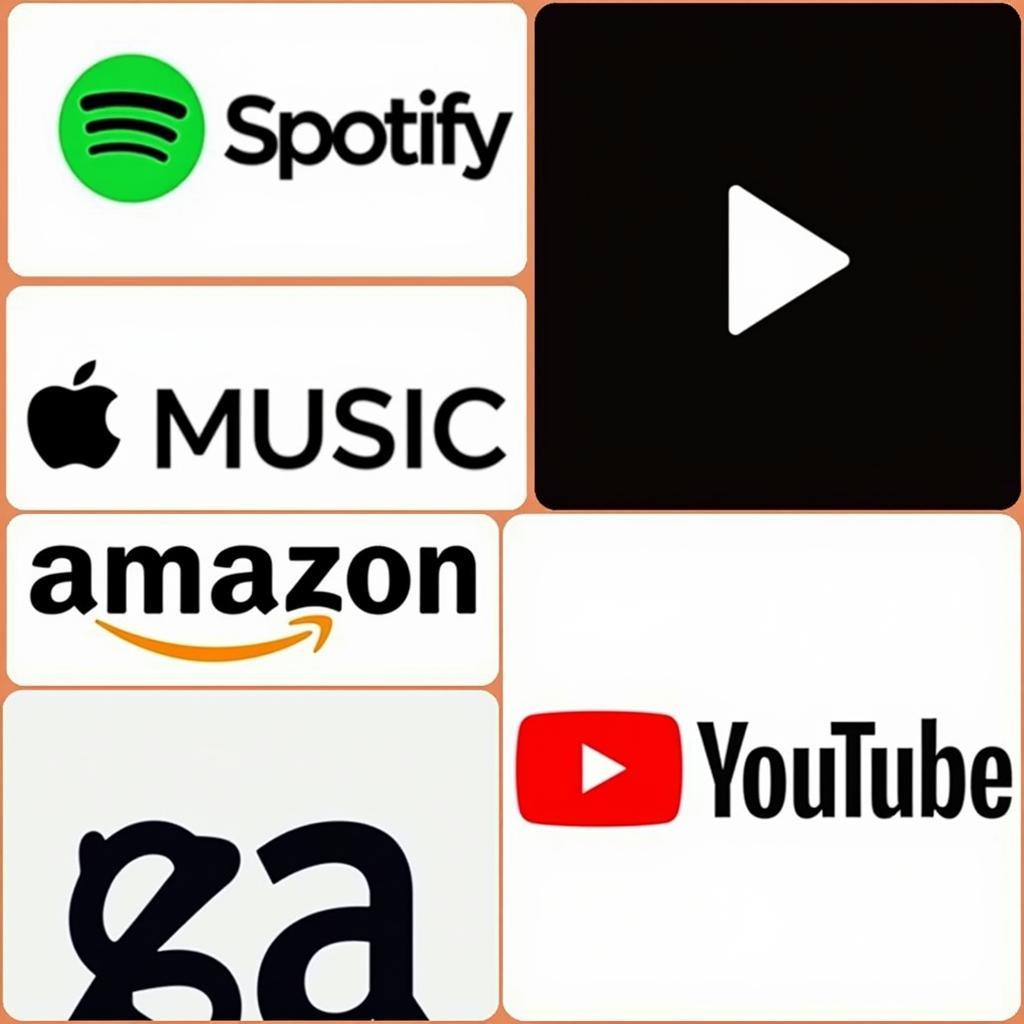 Music Streaming Platforms