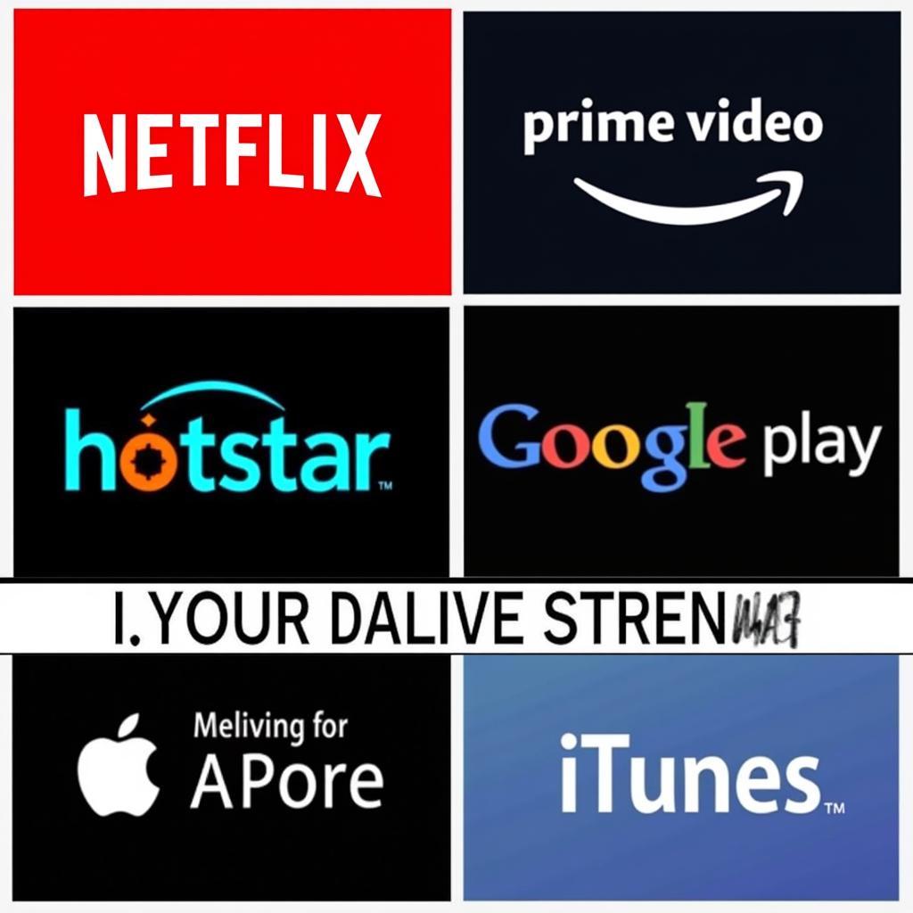 Streaming Platforms for Watching Iravin Nizhal