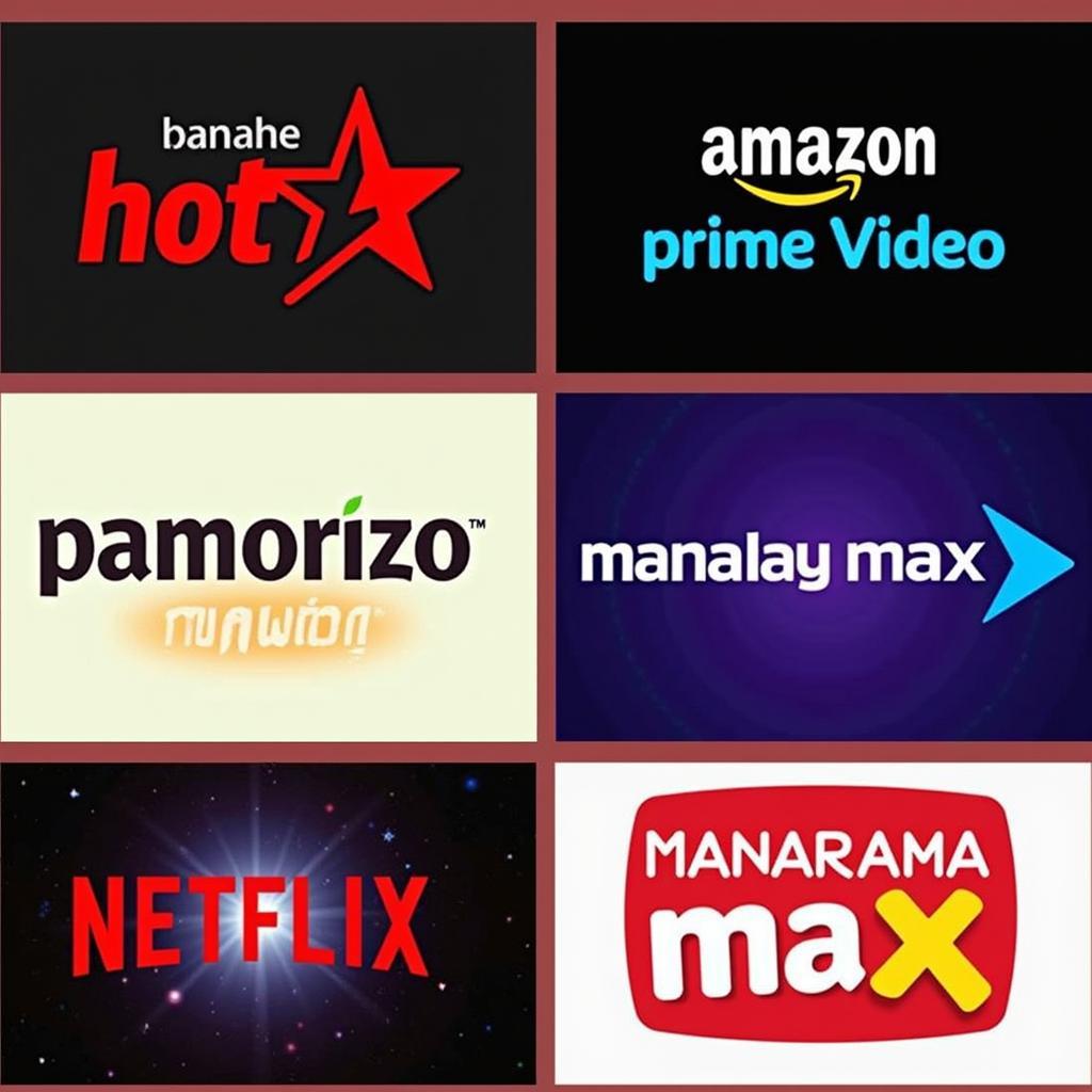 Popular Malayalam Movie Streaming Platforms